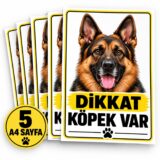 Dikkat Köpek Var Sticker Seti – 5 Adet A4 Uyarı Etiketi
